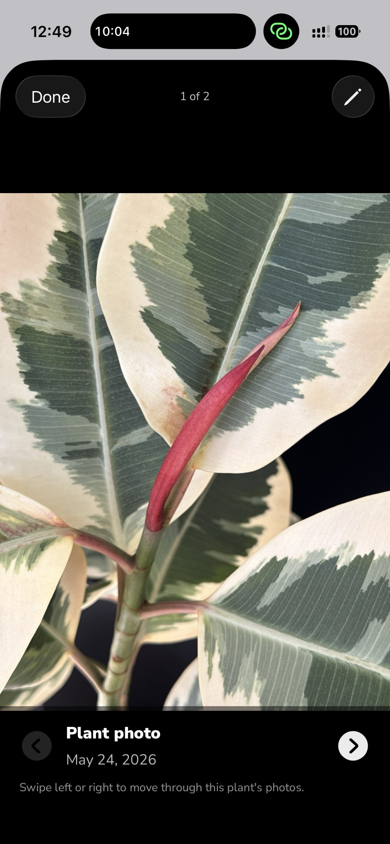 Botafolia timeline photos screen.